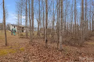 127 Walt Dr, Hendersonville, NC 28792 - Photo 30