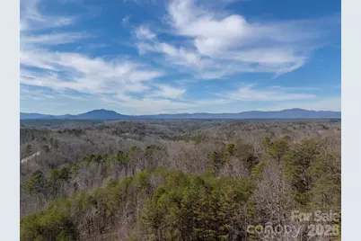 4006 Polk County Line Road, Rutherfordton, NC 28139 - Photo 44