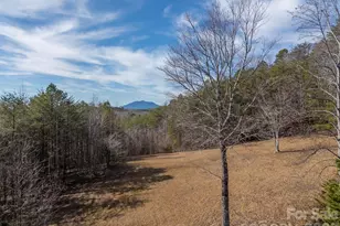 4006 Polk County Line Rd, Rutherfordton, NC 28139 - Photo 38