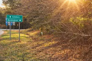 0 Spies Rd, Star, NC 27356 - Photo 1