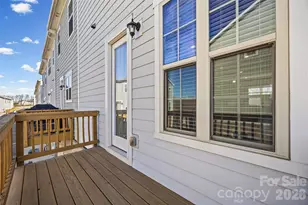 9236 Ainslie Downs St, Charlotte, NC 28273 - Photo 14