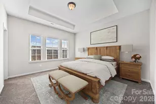 9236 Ainslie Downs St, Charlotte, NC 28273 - Photo 6