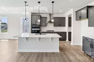 1007 Tundra Swan Dr, Indian Trail, NC 28079 - Photo 8