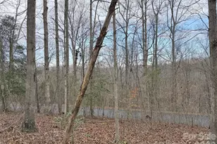 0000 E Rambling Creek Dr, Tryon, NC 28782 - Photo 1