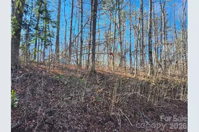 0000 E Rambling Creek Drive #26, Tryon, NC 28782 - Photo 6