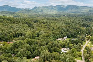 15 Pine Ridge Ct, Fletcher, NC 28732 - Photo 36