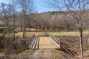 1849 Jackson Grove Rd, Columbus, NC 28722 - Photo 38