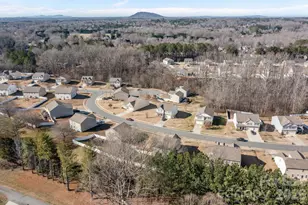 116 Rippling Water Dr, Mount Holly, NC 28120 - Photo 44