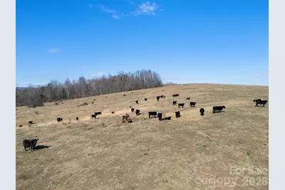 9999 Walker Road, Nebo, NC 28761 - Photo 10