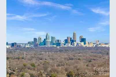 6038 Netherwood Drive, Charlotte, NC 28210 - Photo 34