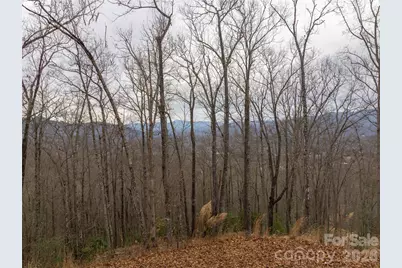 999 Breedlove Road #2, Bryson City, NC 28713 - Photo 2