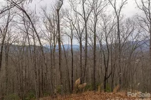 999 Breedlove Rd, Bryson City, NC 28713 - Photo 2