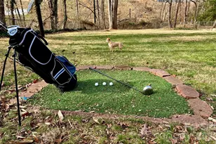 209 Cottonwood Dr, Mount Holly, NC 28120 - Photo 12