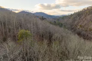 9180 Lower Alarka Rd, Bryson City, NC 28713 - Photo 4