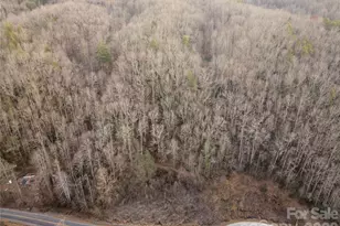 9180 Lower Alarka Rd, Bryson City, NC 28713 - Photo 2