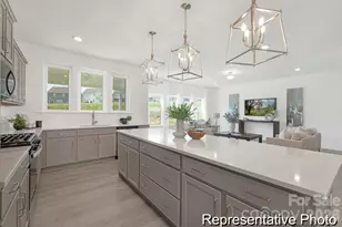 1832 Hunter Oaks Ln, Lincolnton, NC 28092 - Photo 4