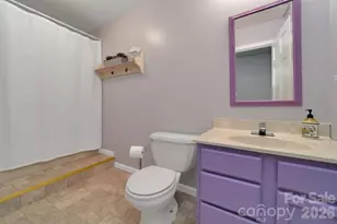 391 Hawthorne Dr, Brevard, NC 28712 - Photo 32