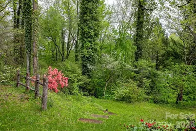 391 Hawthorne Drive, Brevard, NC 28712 - Photo 40