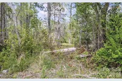 10110 S Olde Towne Wynd, Belville, NC 28451 - Photo 16