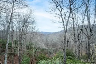67 Ossarooga Ct, Brevard, NC 28712 - Photo 2