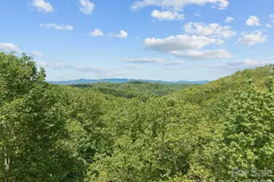 67 Ossarooga Ct, Brevard, NC 28712 - Photo 40