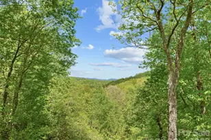 67 Ossarooga Ct, Brevard, NC 28712 - Photo 2