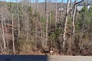 186 Mountain Island Dr, Statesville, NC 28677 - Photo 2