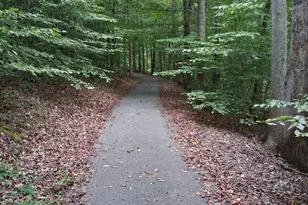 186 Mountain Island Dr, Statesville, NC 28677 - Photo 8