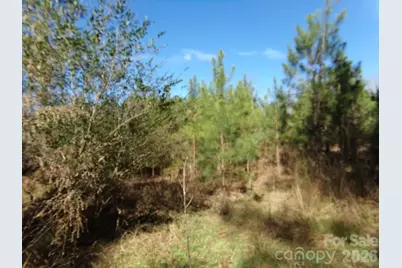 41 Ac Hwy 55 Highway, Clover, SC 29710 - Photo 10