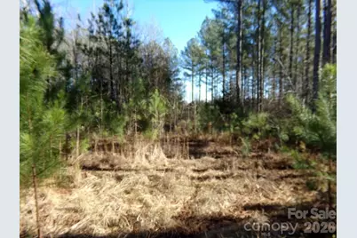 41 Ac Hwy 55 Highway, Clover, SC 29710 - Photo 4