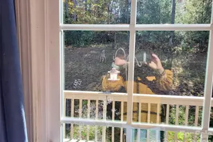 457 Dale Rd, Spruce Pine, NC 28777 - Photo 26