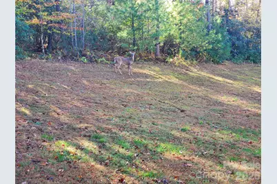 457 Dale Road, Spruce Pine, NC 28777 - Photo 32