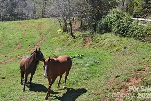 40 & 44 Chambers Dr, Weaverville, NC 28787 - Photo 38