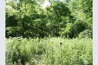 3771 US Highway 421 Highway N, Vilas, NC 28692 - Photo 6