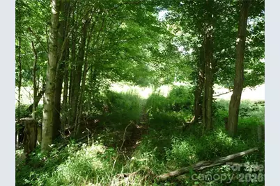 3771 US Highway 421 Highway N, Vilas, NC 28692 - Photo 8