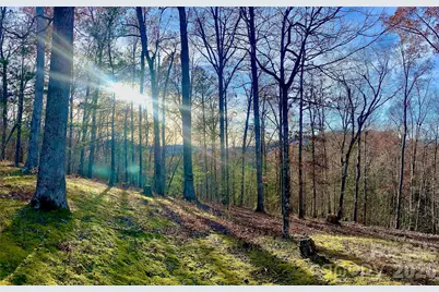 288 Rebel Drive, Hot Springs, NC 28743 - Photo 10