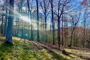 288 Rebel Dr, Hot Springs, NC 28743 - Photo 10