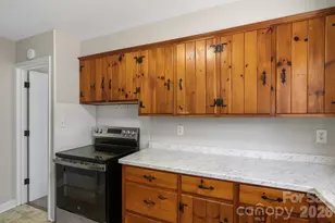 19 Browndale Rd, Asheville, NC 28805 - Photo 12