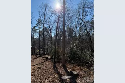 9999 Rockbrook Overlook, Brevard, NC 28712 - Photo 2