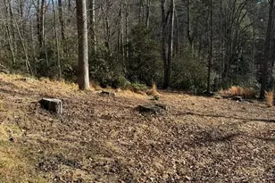 9999 Rockbrook Overlook, Brevard, NC 28712 - Photo 1