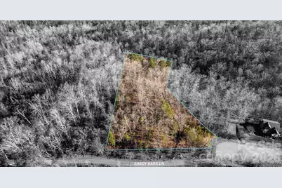 49 Shady Bark Lane, Rutherfordton, NC 28139 - Photo 6