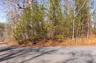 49 Shady Bark Ln, Rutherfordton, NC 28139 - Photo 1