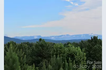 16 Saratoga Drive, Nebo, NC 28761 - Photo 32