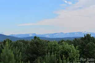 16 Saratoga Dr, Nebo, NC 28761 - Photo 32