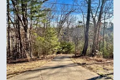 45 Marshbanks Ridge, Weaverville, NC 28787 - Photo 2