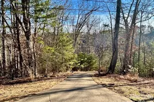 45 Marshbanks Rdg, Weaverville, NC 28787 - Photo 2