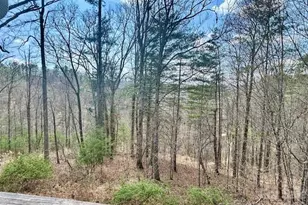 45 Marshbanks Rdg, Weaverville, NC 28787 - Photo 38