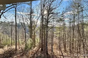 45 Marshbanks Rdg, Weaverville, NC 28787 - Photo 6