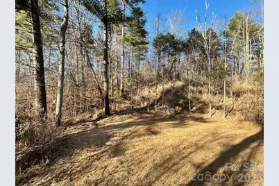 45 Marshbanks Ridge, Weaverville, NC 28787 - Photo 12