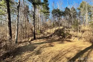 45 Marshbanks Rdg, Weaverville, NC 28787 - Photo 12